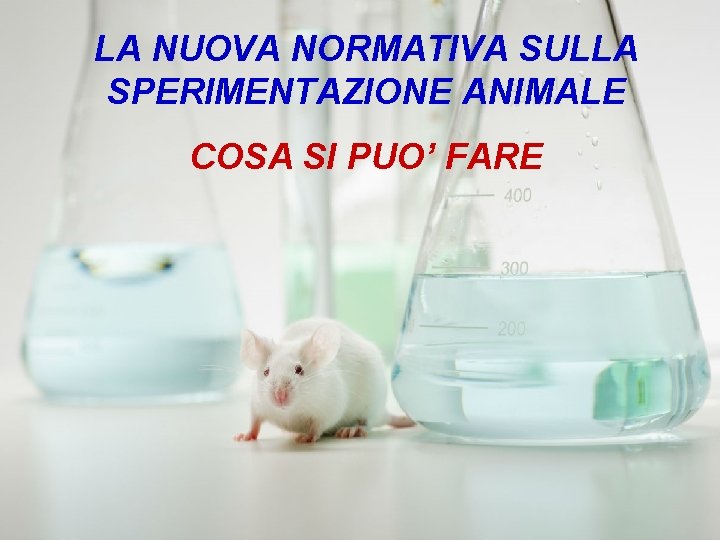 LA NUOVA NORMATIVA SULLA SPERIMENTAZIONE ANIMALE COSA SI PUO’ FARE 