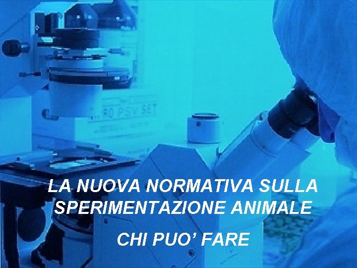 LA NUOVA NORMATIVA SULLA SPERIMENTAZIONE ANIMALE CHI PUO’ FARE 