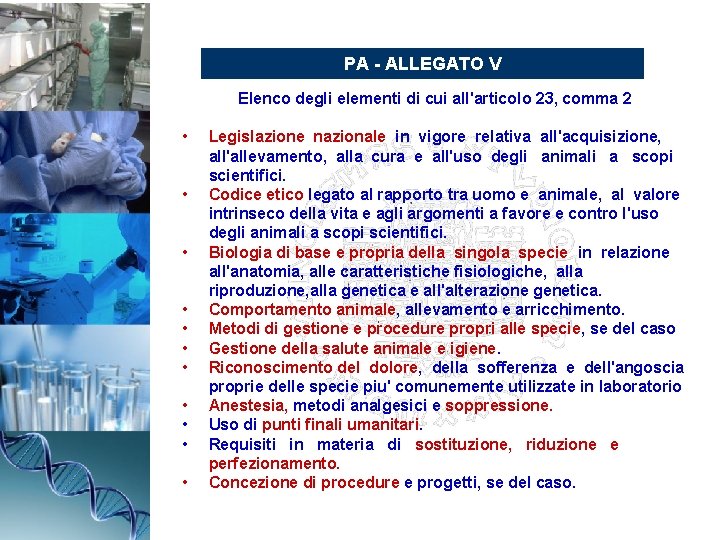 PA - ALLEGATO V Elenco degli elementi di cui all'articolo 23, comma 2 •