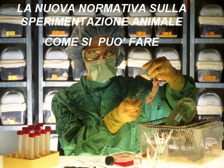 LA NUOVA NORMATIVA SULLA SPERIMENTAZIONE ANIMALE COME SI PUO’ FARE 