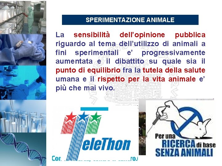 SPERIMENTAZIONE ANIMALE La sensibilità dell’opinione pubblica riguardo al tema dell’utilizzo di animali a fini