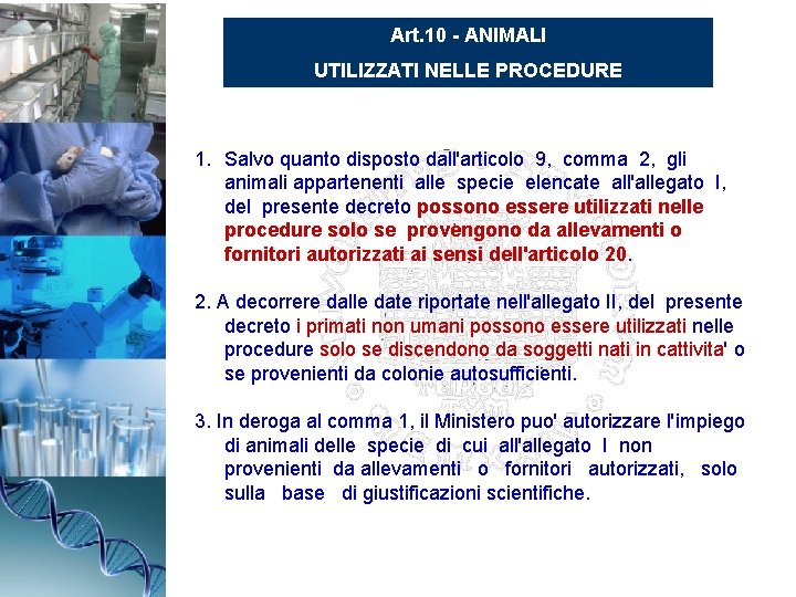 Art. 10 - ANIMALI UTILIZZATI NELLE PROCEDURE 1. Salvo quanto disposto dall'articolo 9, comma