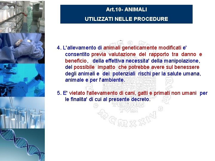 Art. 10 - ANIMALI UTILIZZATI NELLE PROCEDURE 4. L'allevamento di animali geneticamente modificati e'