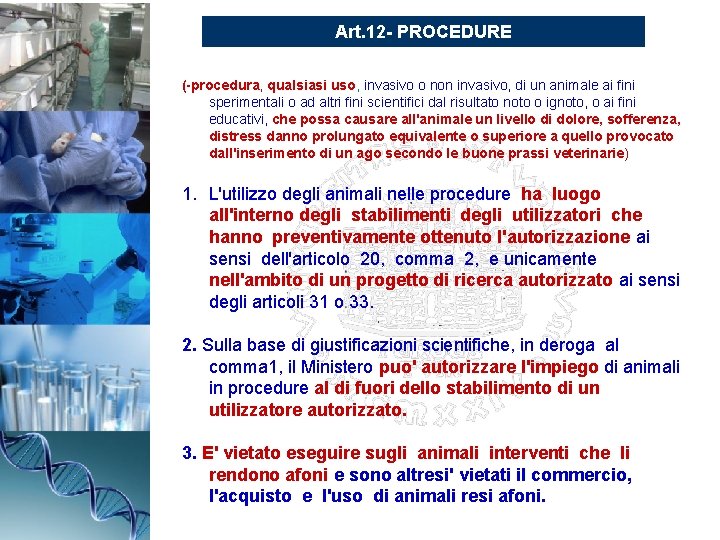 Art. 12 - PROCEDURE (-procedura, qualsiasi uso, invasivo o non invasivo, di un animale
