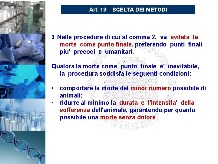 Art. 13 – SCELTA DEI METODI 3. Nelle procedure di cui al comma 2,