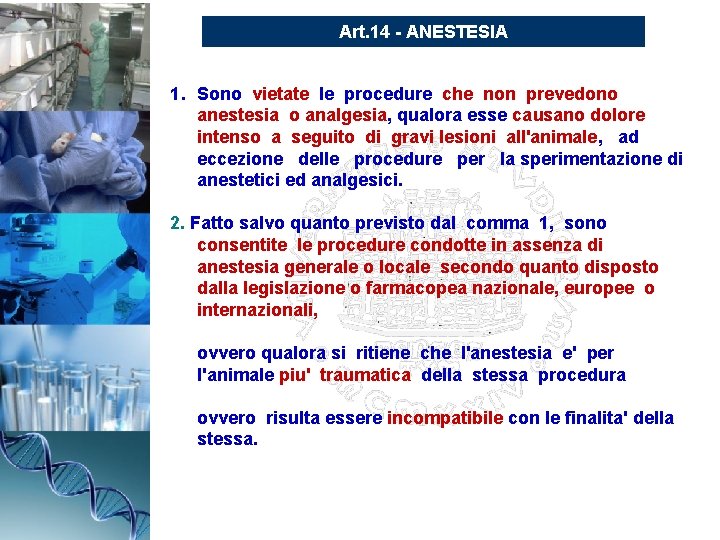 Art. 14 - ANESTESIA 1. Sono vietate le procedure che non prevedono anestesia o