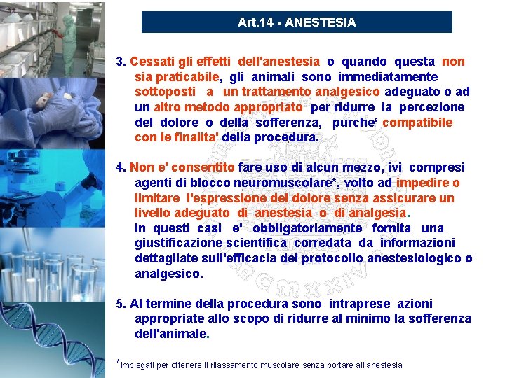 Art. 14 - ANESTESIA 3. Cessati gli effetti dell'anestesia o quando questa non sia