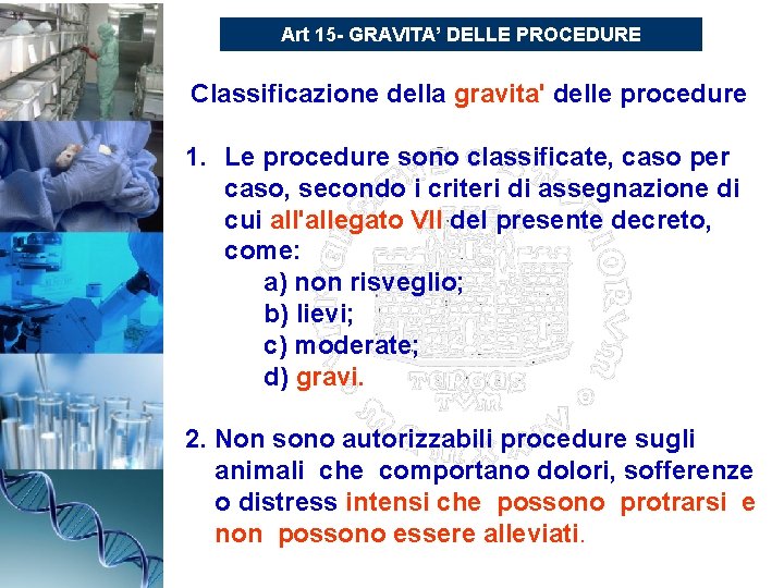Art 15 - GRAVITA’ DELLE PROCEDURE Classificazione della gravita' delle procedure 1. Le procedure