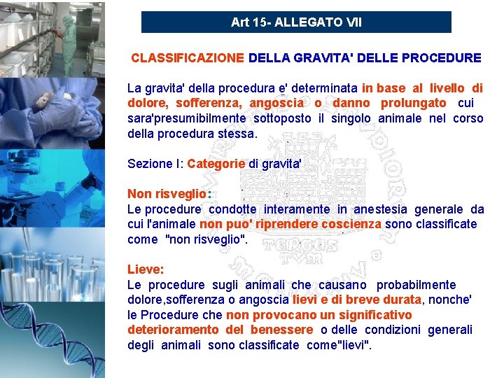 Art 15 - ALLEGATO VII CLASSIFICAZIONE DELLA GRAVITA' DELLE PROCEDURE La gravita' della procedura