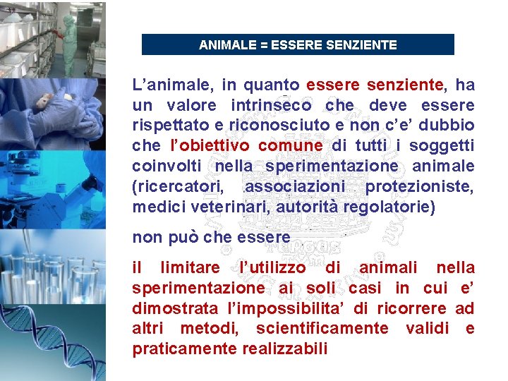 ANIMALE = ESSERE SENZIENTE L’animale, in quanto essere senziente, ha un valore intrinseco che