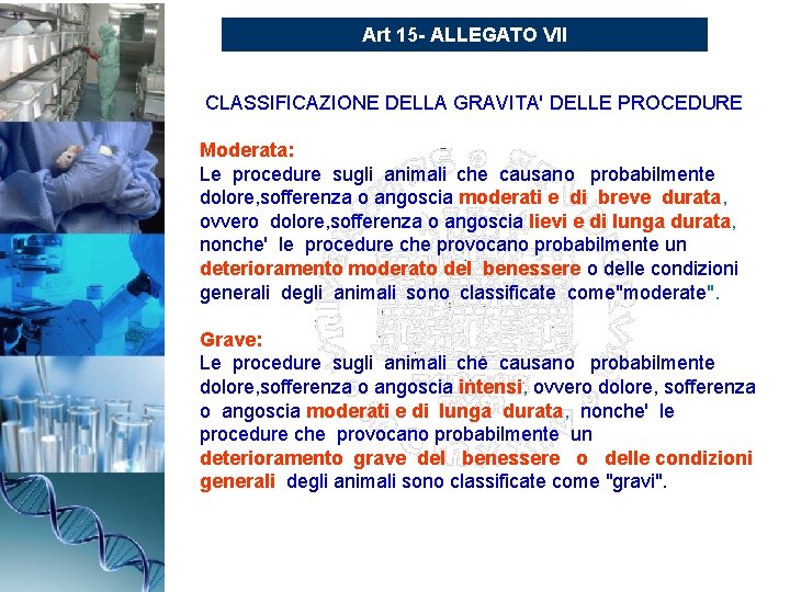 Art 15 - ALLEGATO VII CLASSIFICAZIONE DELLA GRAVITA' DELLE PROCEDURE Moderata: Le procedure sugli