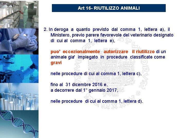 Art 16 - RIUTILIZZO ANIMALI 2. In deroga a quanto previsto dal comma 1,