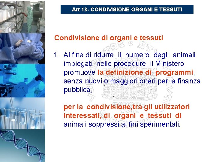 Art 18 - CONDIVISIONE ORGANI E TESSUTI Condivisione di organi e tessuti 1. Al