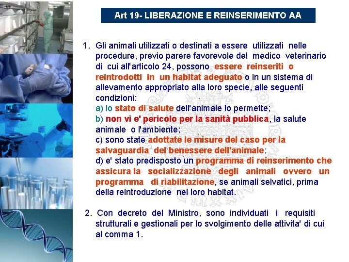 Art 19 - LIBERAZIONE E REINSERIMENTO AA 1. Gli animali utilizzati o destinati a