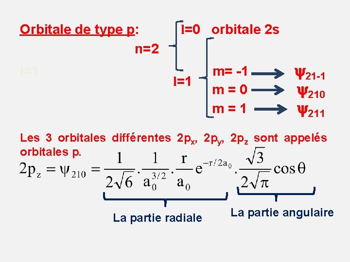 Orbitale de type p: l=0 orbitale 2 s n=2 l=1 m= -1 21 -1