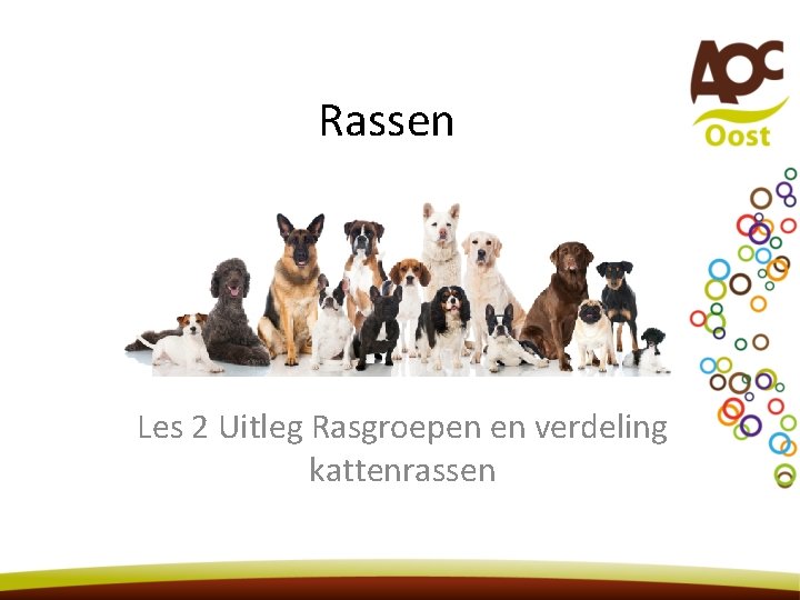 Rassen Les 2 Uitleg Rasgroepen en verdeling kattenrassen 