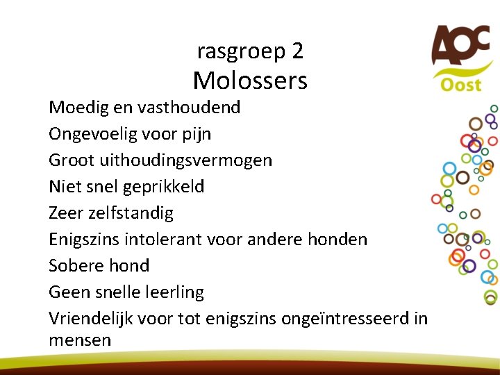 rasgroep 2 Molossers Moedig en vasthoudend Ongevoelig voor pijn Groot uithoudingsvermogen Niet snel geprikkeld