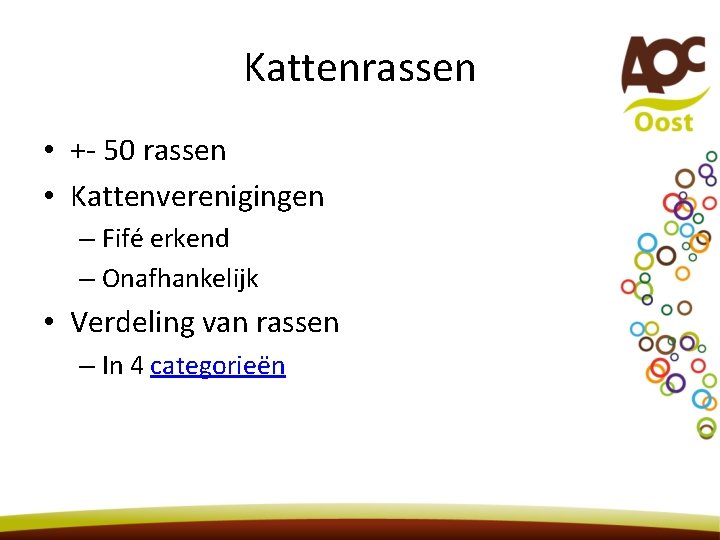 Kattenrassen • +- 50 rassen • Kattenverenigingen – Fifé erkend – Onafhankelijk • Verdeling