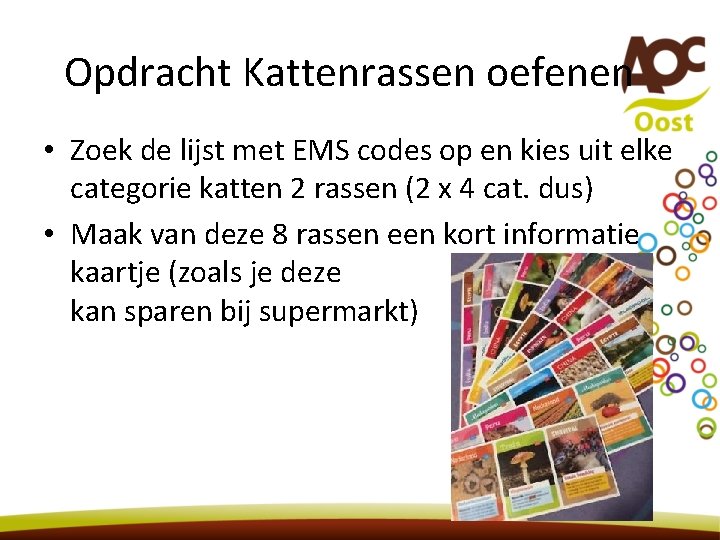 Opdracht Kattenrassen oefenen • Zoek de lijst met EMS codes op en kies uit