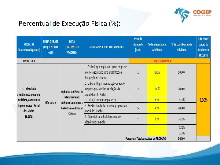 Percentual de Execução Física (%): 