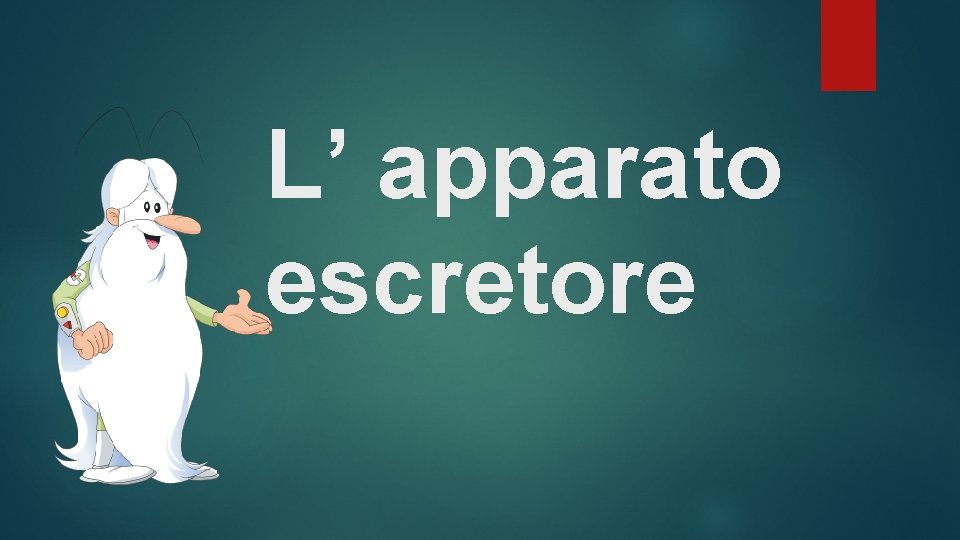 L’ apparato escretore 