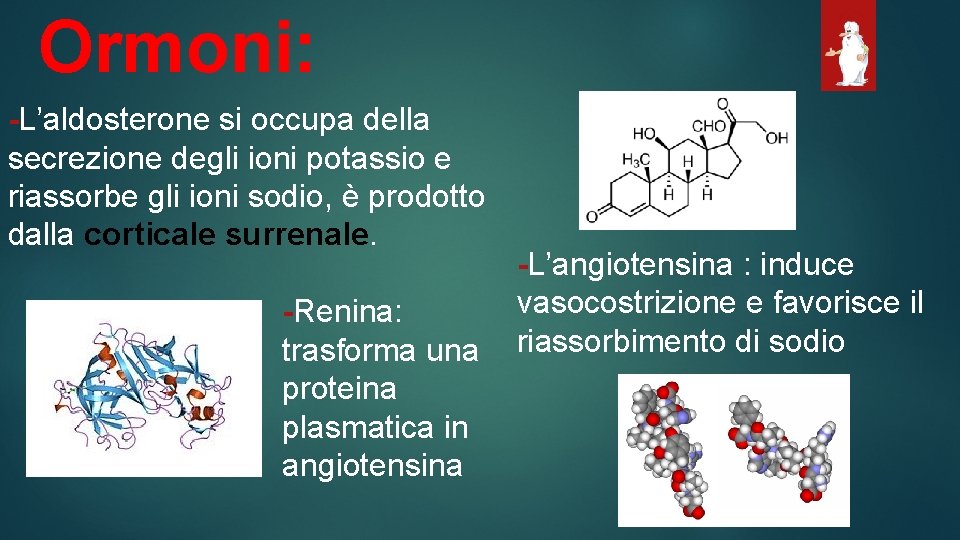 Ormoni: -L’aldosterone si occupa della secrezione degli ioni potassio e riassorbe gli ioni sodio,