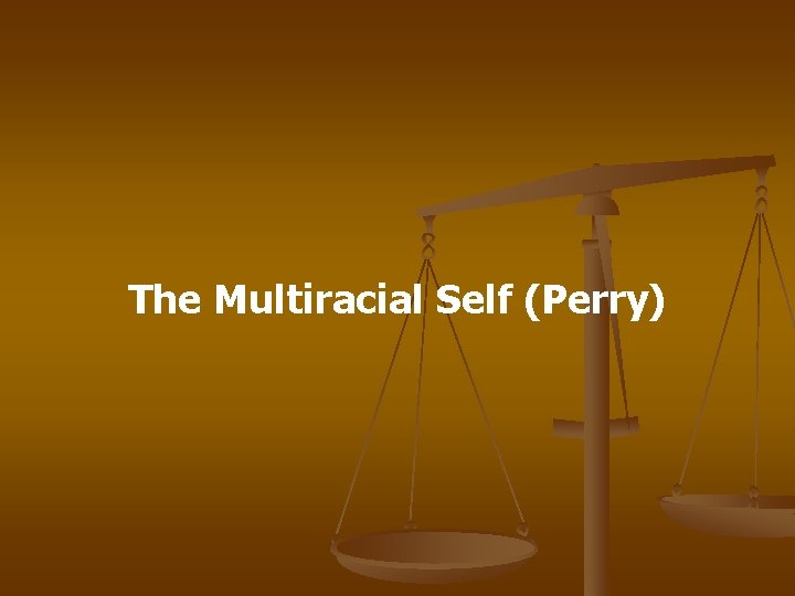 The Multiracial Self (Perry) 