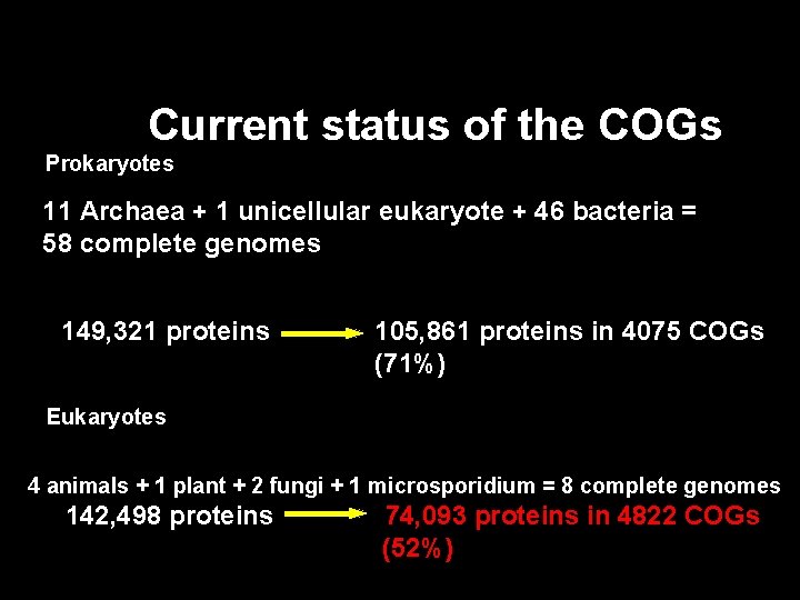 Current status of the COGs Prokaryotes 11 Archaea + 1 unicellular eukaryote + 46