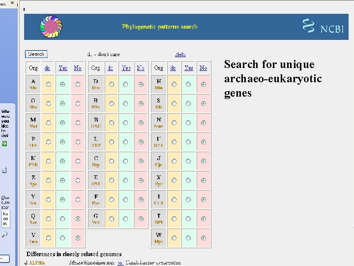 Search for unique archaeo-eukaryotic genes 