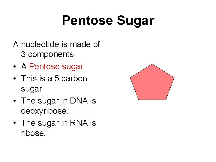 Pentose Sugar A nucleotide is made of 3 components: • A Pentose sugar •