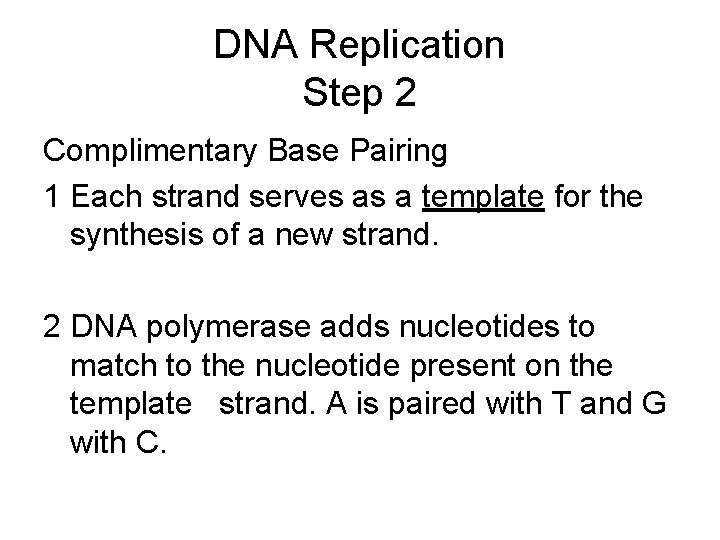 DNA Replication Step 2 Complimentary Base Pairing 1 Each strand serves as a template