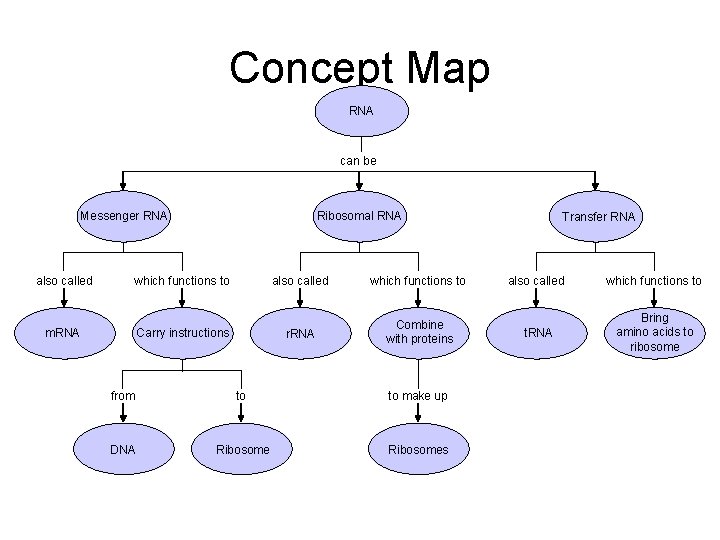 Section 12 -3 Concept Map RNA can be Messenger RNA also called which functions