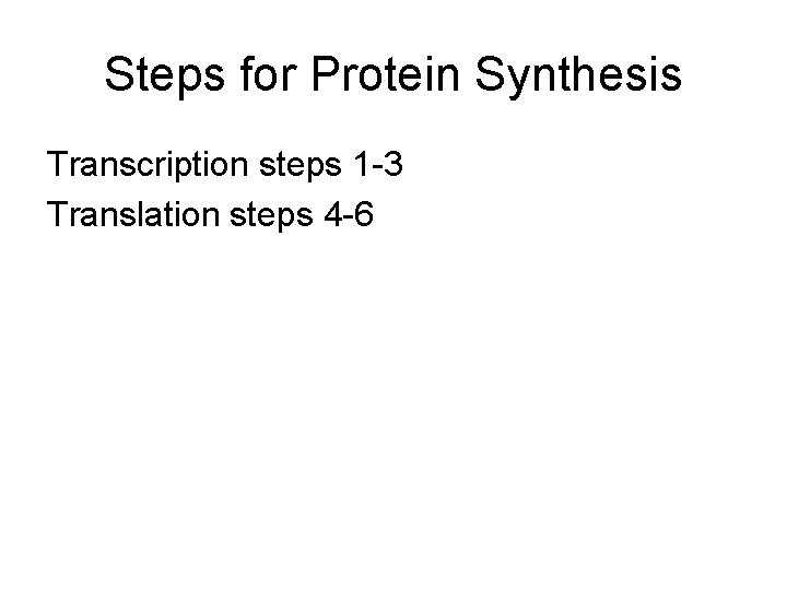 Steps for Protein Synthesis Transcription steps 1 -3 Translation steps 4 -6 