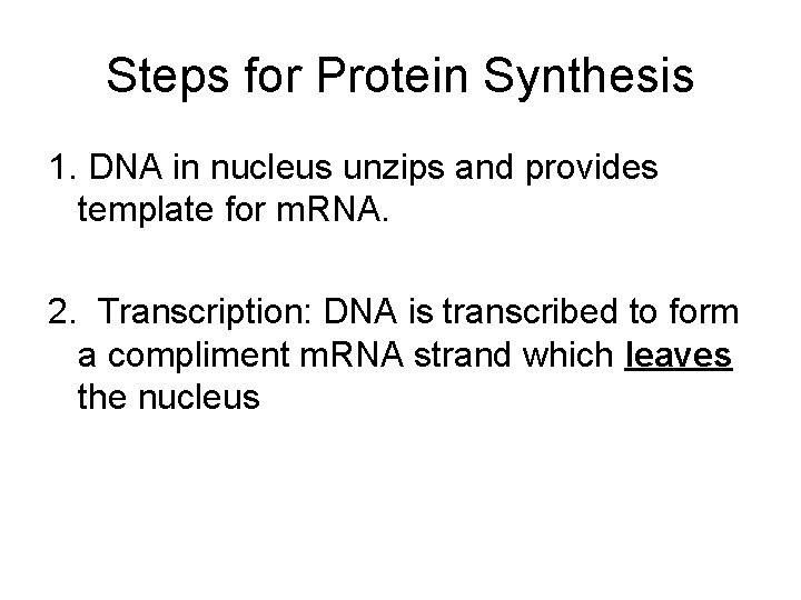 Steps for Protein Synthesis 1. DNA in nucleus unzips and provides template for m.