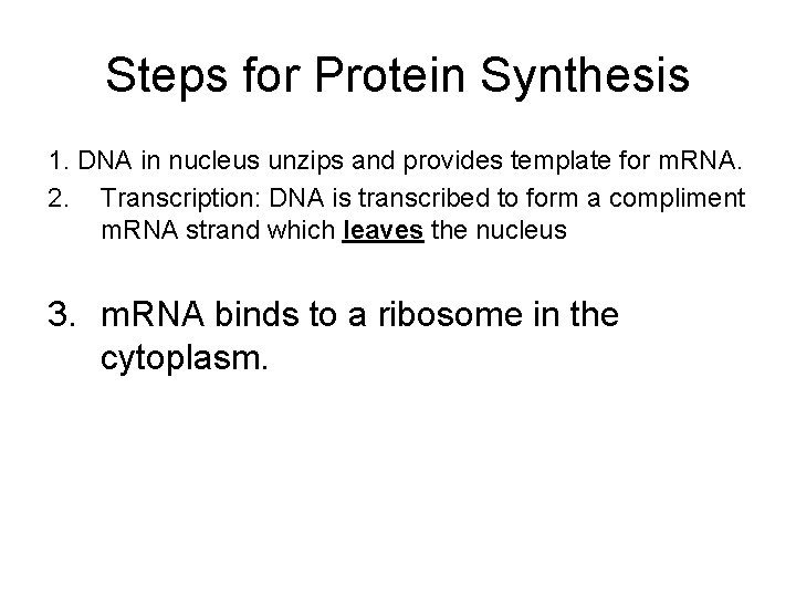 Steps for Protein Synthesis 1. DNA in nucleus unzips and provides template for m.