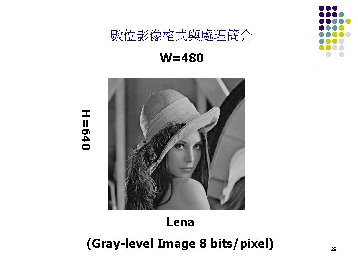 數位影像格式與處理簡介 W=480 H=640 Lena (Gray-level Image 8 bits/pixel) 29 