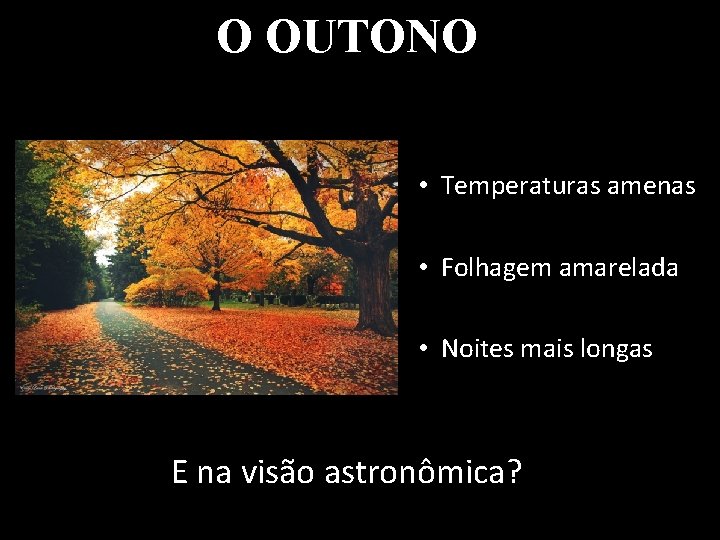 O OUTONO • Temperaturas amenas • Folhagem amarelada • Noites mais longas E na