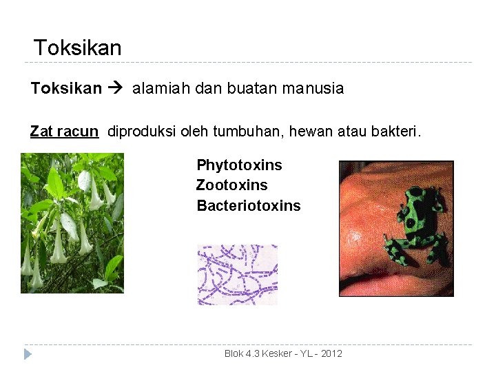 Toksikan alamiah dan buatan manusia Zat racun diproduksi oleh tumbuhan, hewan atau bakteri. Phytotoxins