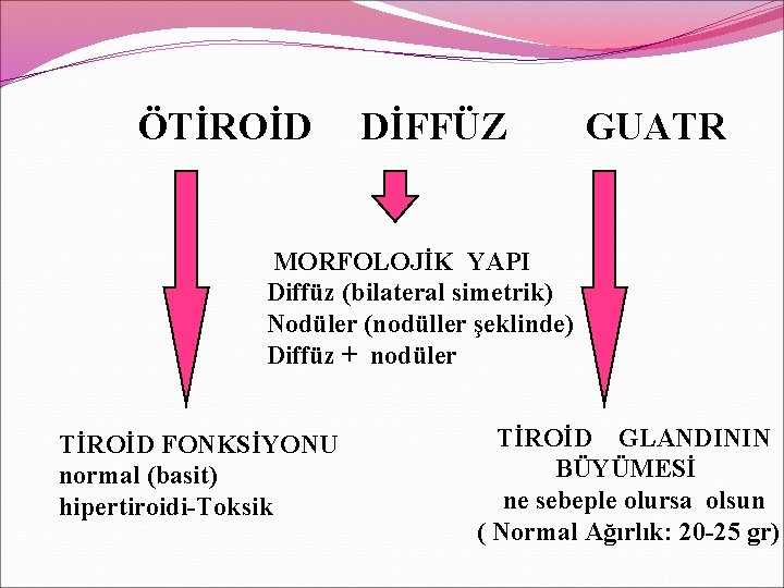 ÖTİROİD DİFFÜZ GUATR MORFOLOJİK YAPI Diffüz (bilateral simetrik) Nodüler (nodüller şeklinde) Diffüz + nodüler ÖTİROİD DİFFÜZ GUATR MORFOLOJİK YAPI Diffüz (bilateral simetrik) Nodüler (nodüller şeklinde) Diffüz + nodüler