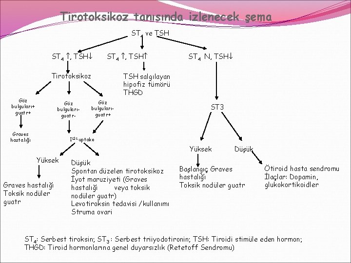 Tirotoksikoz tanısında izlenecek şema ST 4 ve TSH ST 4 , TSH Tirotoksikoz Göz Tirotoksikoz tanısında izlenecek şema ST 4 ve TSH ST 4 , TSH Tirotoksikoz Göz