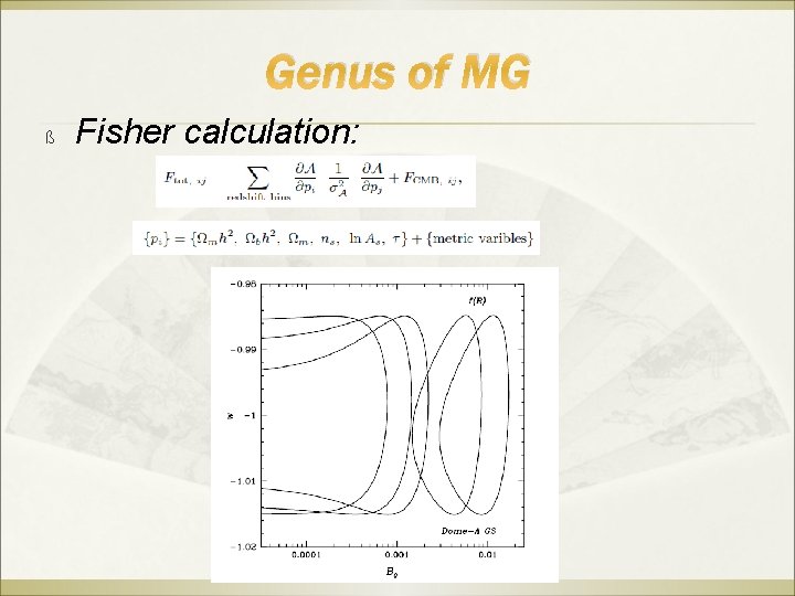 Genus of MG ß Fisher calculation: 