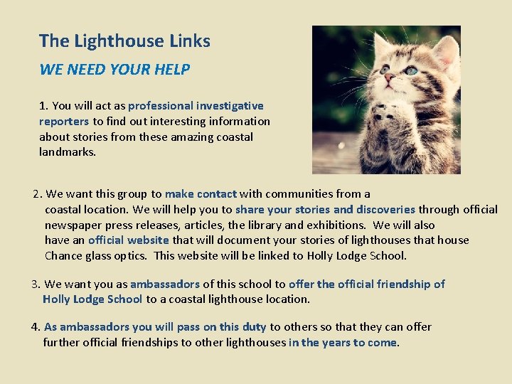 The Lighthouse Links WE NEED YOUR HELP 1. You will act as professional investigative