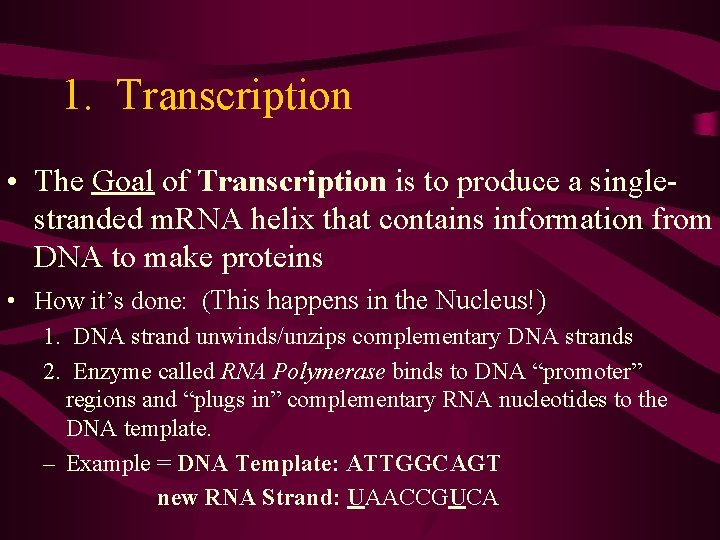 1. Transcription • The Goal of Transcription is to produce a singlestranded m. RNA