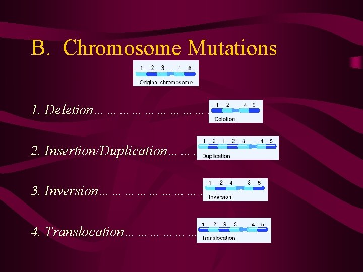 B. Chromosome Mutations 1. Deletion……………… 2. Insertion/Duplication………… 3. Inversion…………… 4. Translocation…………. 
