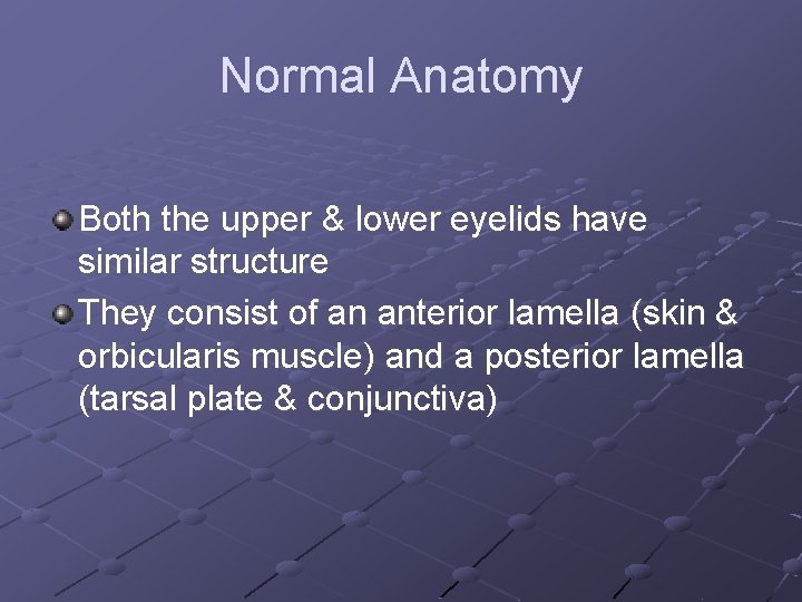 Normal Anatomy Both the upper & lower eyelids have similar structure They consist of