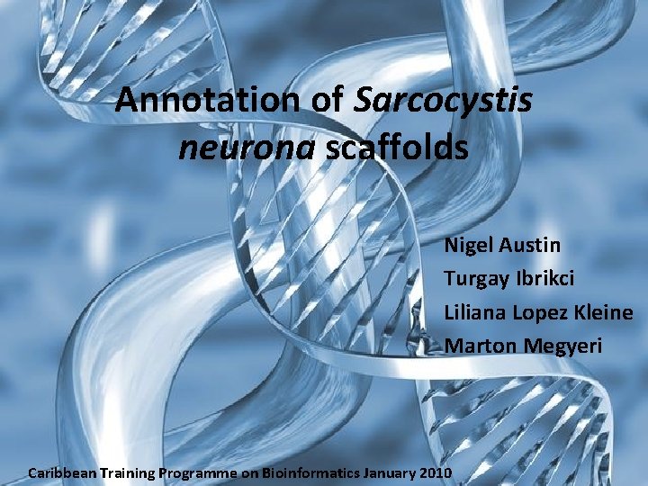 Annotation of Sarcocystis neurona scaffolds Nigel Austin Turgay Ibrikci Liliana Lopez Kleine Marton Megyeri