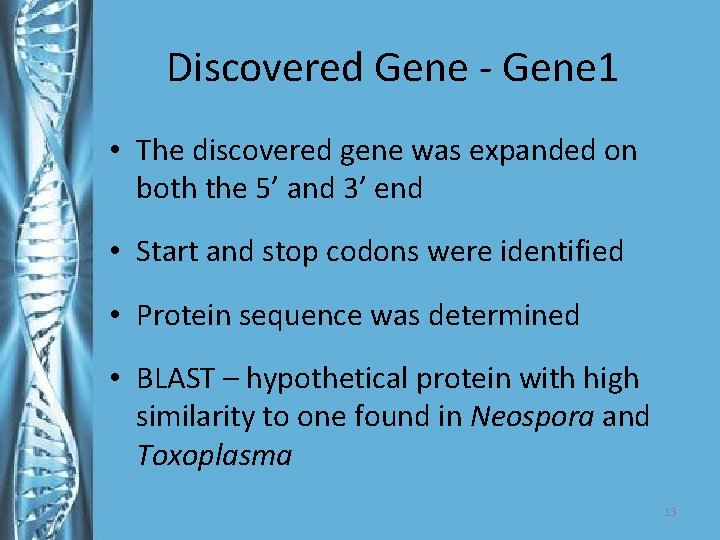 Discovered Gene - Gene 1 • The discovered gene was expanded on both the