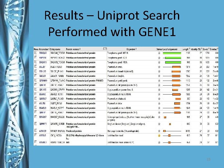 Results – Uniprot Search Performed with GENE 1 15 