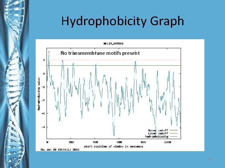 Hydrophobicity Graph No transmembrane motifs present 17 
