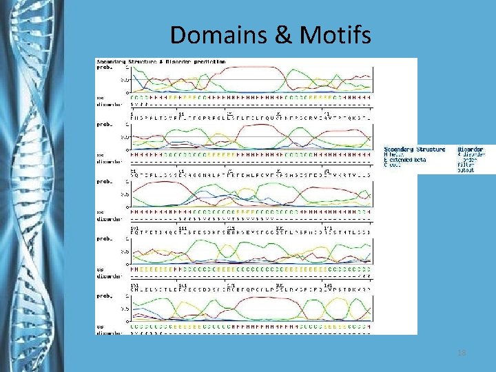 Domains & Motifs 18 
